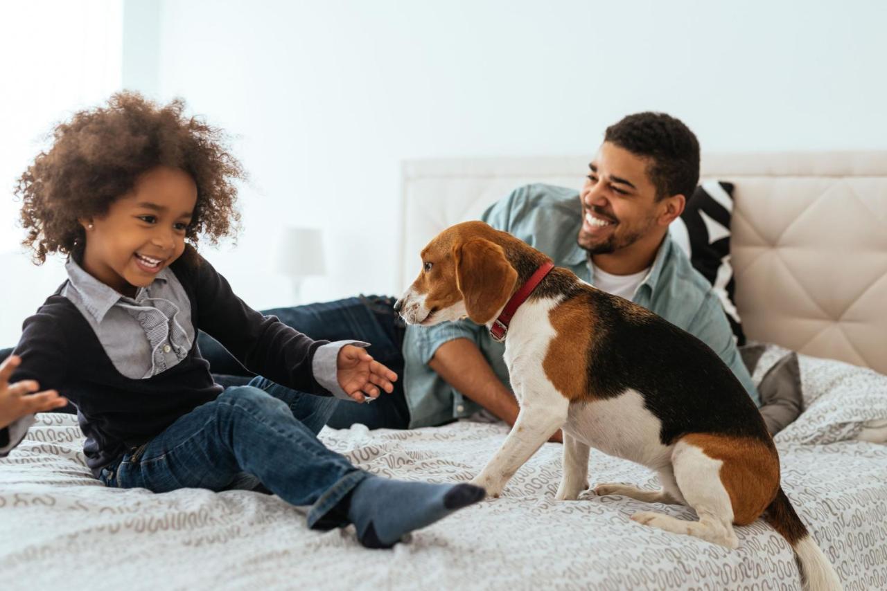 라 클레 샹젤리제 파리 바이 더 크레스트 컬렉션 외부 사진 A family with a dog